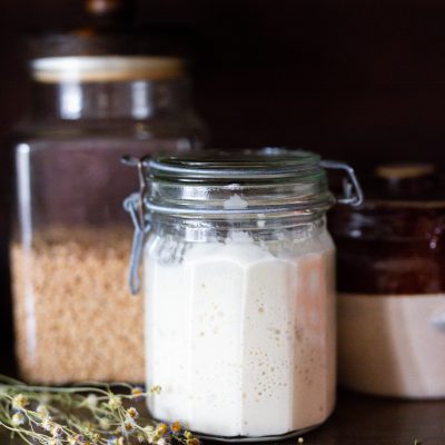 active sourdough starter in a cupboard